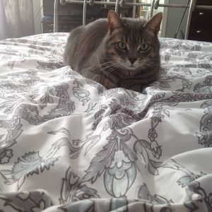 Meet your Posher, Carolann